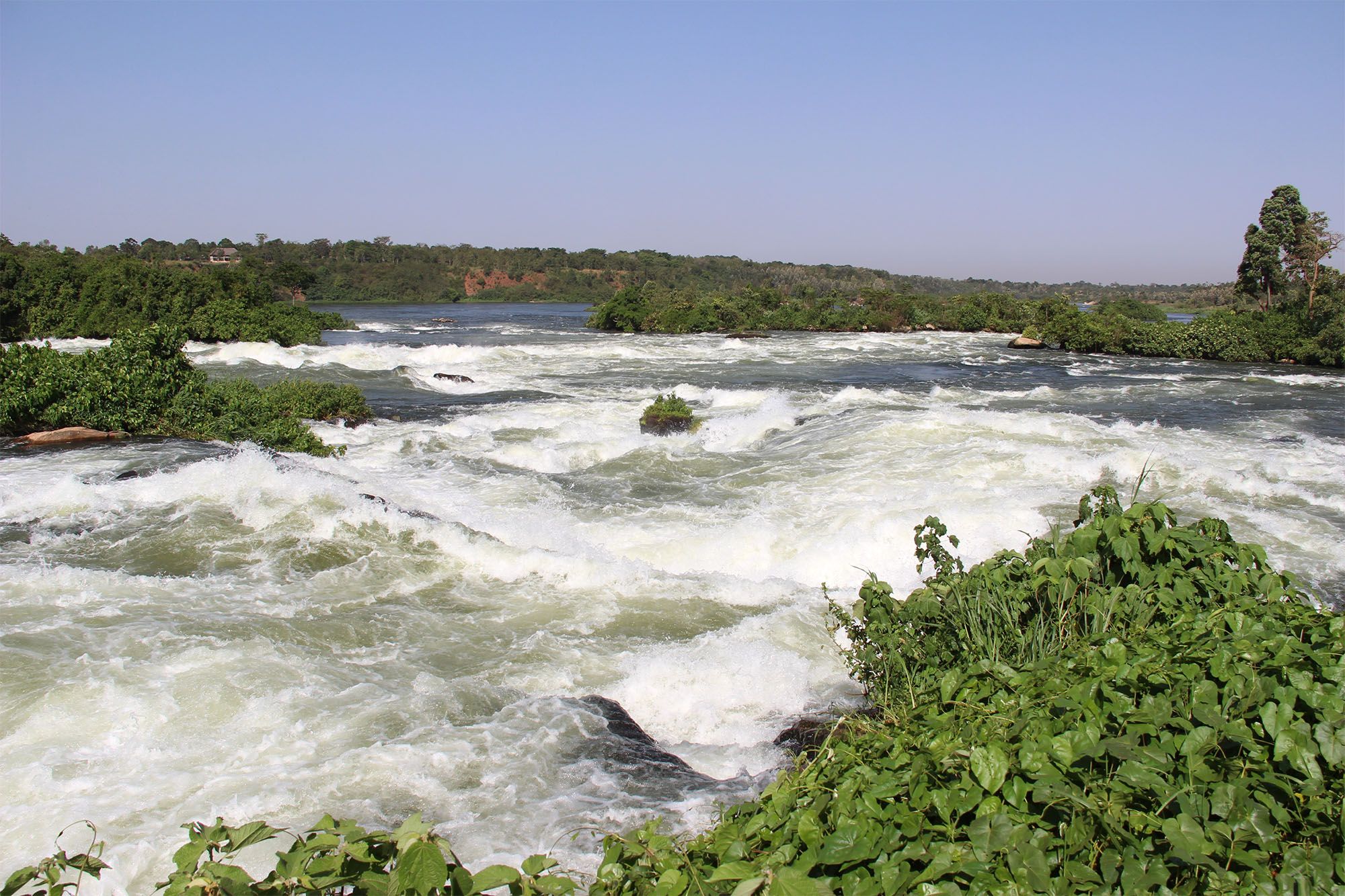 Пороги Чобе (Chobe Rapids)